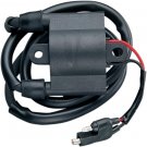 IGNITION COIL ARCTIC