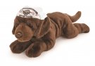HD HUND BRUN LAB