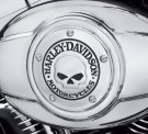 Willie G Skull Air Cleaner Trim - Chrome