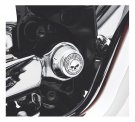 Harley-Davidson® Willie G Skull Swingarm Pivot Bolt Cover Kit - Chrome