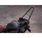 XL One-Piece H-D Detachables Sissy Bar Upright