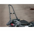 XL One-Piece H-D Detachables Sissy Bar Upright