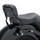 One-Piece H-D Detachables Sissy Bar