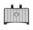 Radiator Shield