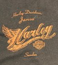 Harley-Davidson Järvsö T-shirt Scorched Earth