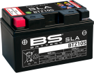 BS Battery BTZ10S