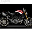 Ducati Monster Corse Sidokåpa