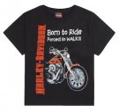 HD T-SHIRT BARN
