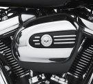 Willie G Skull Air Cleaner Trim - Chrome