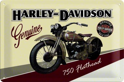 HD SKYLT FLATHEAD 30*20