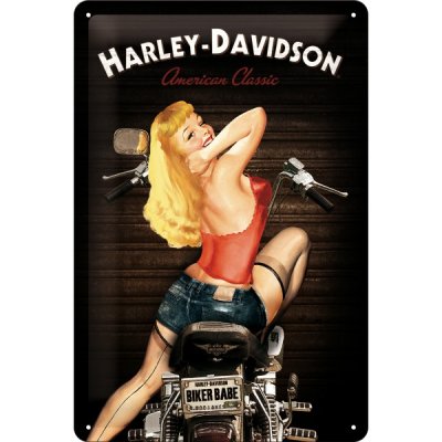 HD SKYLT BIKER BABE 30*20
