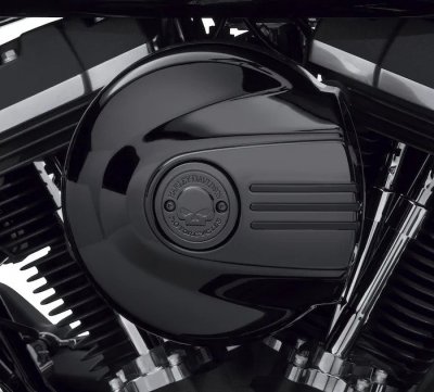 Willie G Skull Air Cleaner Trim - Black