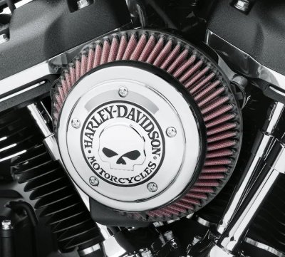 Willie G Skull Air Cleaner Trim - Chrome