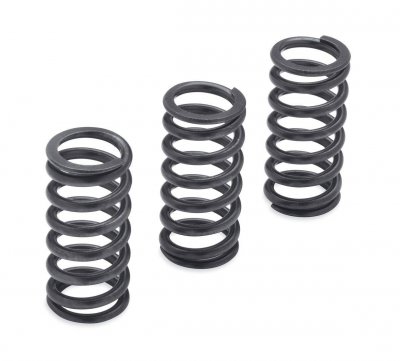 Milwaukee-Eight Engine Clutch Springs - 1275N