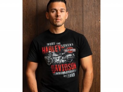 Harley-Davidson Järvsö T-shirt Gig