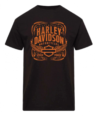 Harley-Davidson Järvsö T-shirt AURORA