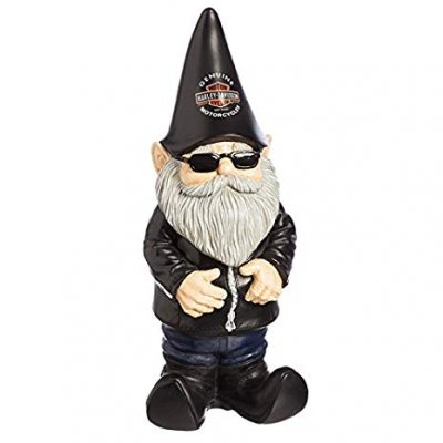 HD Tomte