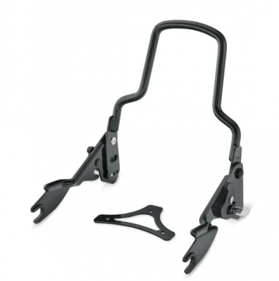 Premium H-D Detachables Backrest with Adjustable Recline