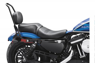 Passenger Backrest Pad