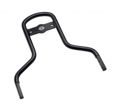 Low Mini-Medallion Style Sissy Bar Upright