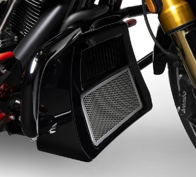 Center-Cooled Milwaukee-Eight Radiator Guard