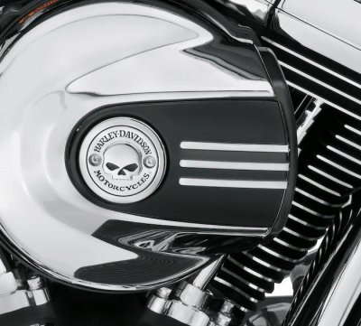 Willie G Skull Air Cleaner Trim - Chrome