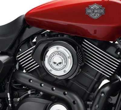 Willie G Skull Air Cleaner Trim - Chrome