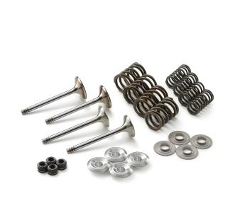 VALVE KIT