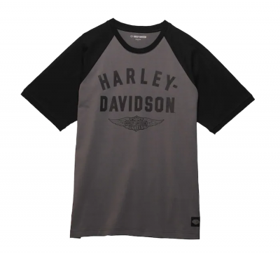 Men's Staple Winged Raglan - Colorblocked - Blackened Pearl
