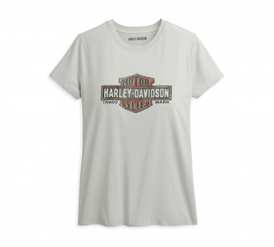 HD T-SHIRT DAM GRÅ/LOGGA