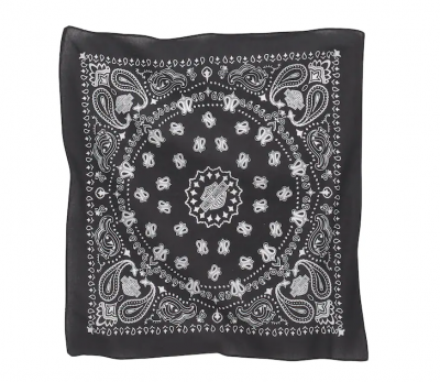 American Heritage Bandana