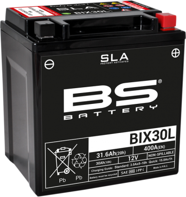 BS BATTERY BIX30L SLA