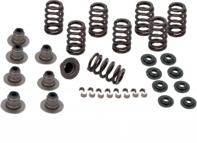 S&S SPRING KIT.605" M8 17-18 S&S