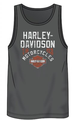 Harley-Davidson Järvsö Linne Feeling The Wind
