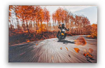 H-D Road King Special Canvas Print